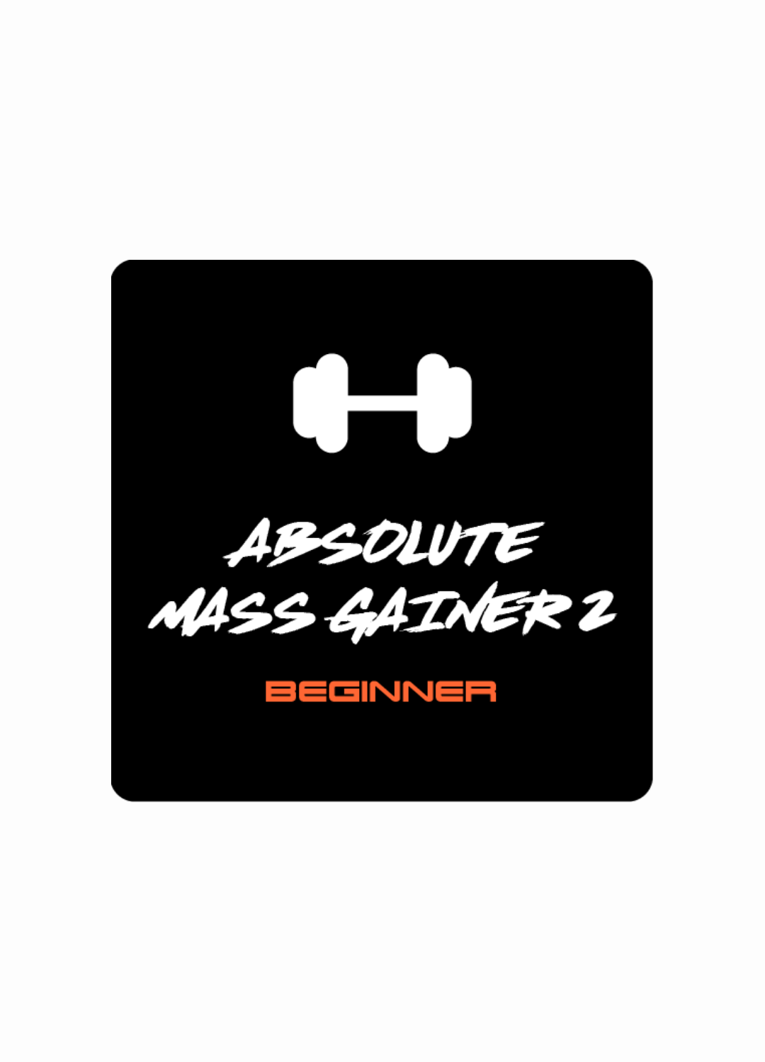 Mass Gainer 2 - beginners level (Training - Ebook)