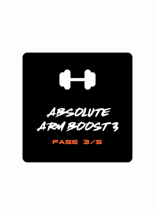 Arm Boost 3 - fase 3 (Training - Ebook)