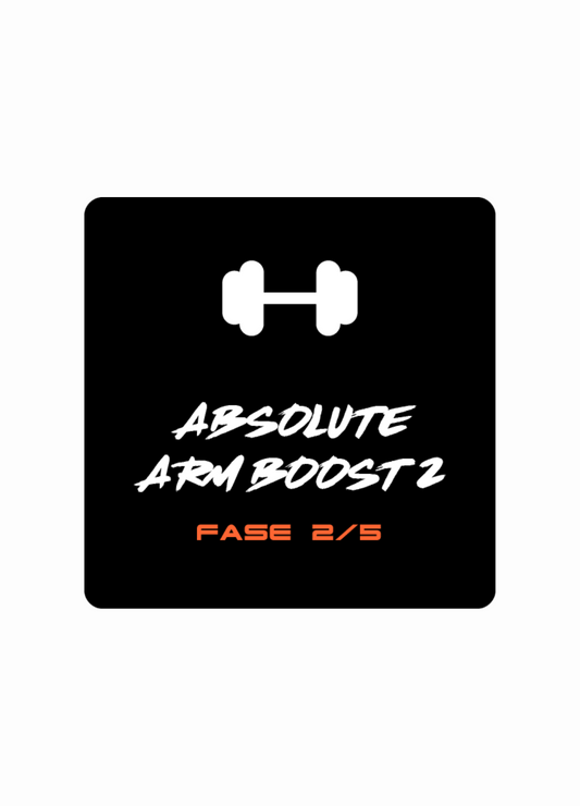 Arm Boost 2 - fase 2 (Training - Ebook)